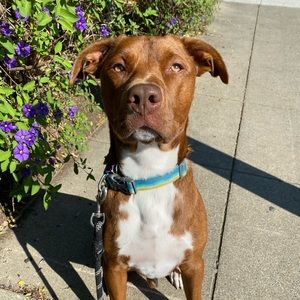 Meet your Posher, Cassandra